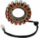 Ricks Motorsport Electric Βολάν Μοτοσυκλέτας 21-019