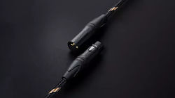 Fiio XLR Мъжки - XLR Женски 1м LX-XLR4L Fiio XLR Мъжки - XLR Женски 1м LX-XLR4L