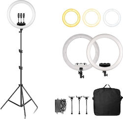 Ring Ring Light 6151116439421