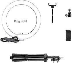 Ring Ring Light 25.4cm 6151009958930