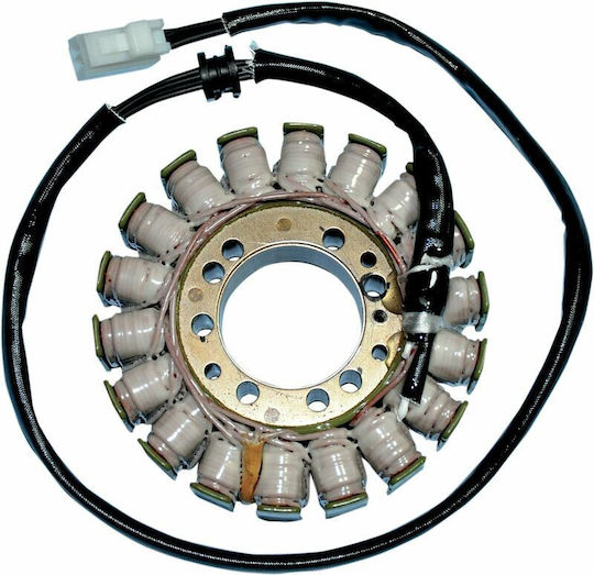 Ricks Motorsport Electric Βολάν Μοτοσυκλέτας 21-014