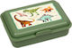 Die Spiegelburg Cutie De Prânz Pentru Copii Din Plastic Tematică Dinozauri Verde 16 x 11 x 5 cm