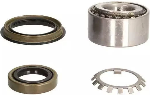Set rulment roată Nissan Terrano II R20 Fag 713 6138 50