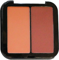 Baolishi Palette with Blush Envy No3 09314