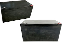 Lean Cars Li-Po Batterietyp 24V für RC-Fahrzeug 2 Stück
