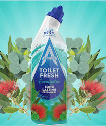 Astonish Toilet Gel Eucalyptus Scent 750ml