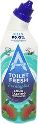 Astonish Toilet Gel Eucalyptus Scent 750ml