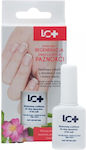 LC+ Nail Strengthener 11ml