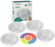 Miniland Jucărie pentru Bebeluși Set of 4 translucent compartmentalized trays for sorting