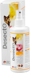 Icf Spray 200ml Icf Spray 200ml