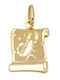Noitakis Charm Zodiac Scorpio in 14K Gold