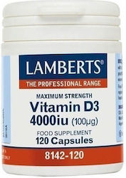 Lamberts Vitamin D3 Vitamin 4000iu 120 Mützen