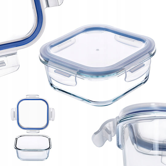 Kadax Glass Lunch Box Transparent 1100ml