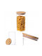 Kadax Vase Pasta with Lid Glass Transparent 1400ml