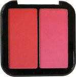 Baolishi Palette mit Rouge Envy Me