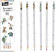 Kiub Colored Pencil Set Package of 1 packages