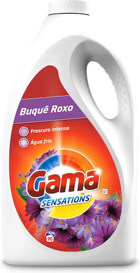 Gama Brands Συμπυκνωμένο Υγρό Απορρυπαντικό για Χρωματιστά Ρούχα (90 Μεζούρες)