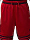 Sport Kids Shorts/Bermuda Dri-Fit Red