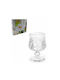 Horecabar Set of Glasses White Wine / Cocktail/Drinking / Liqueur/Ouzo made of Glass Stemmed 6pcs