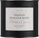 Teministeriet Fairtrade Collection Mango Peach & Rose Sypana Tea 50g