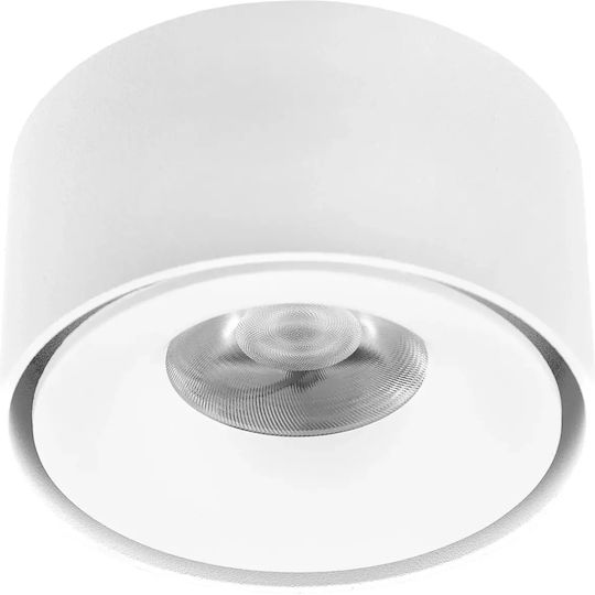 Monos LED Spot în Culoare Alb