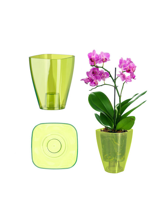 Kadax Orchideen-Übertopf Kunststoff Pflanze 9cm...
