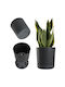 Kadax Pot Saucer 25cm Anthracite