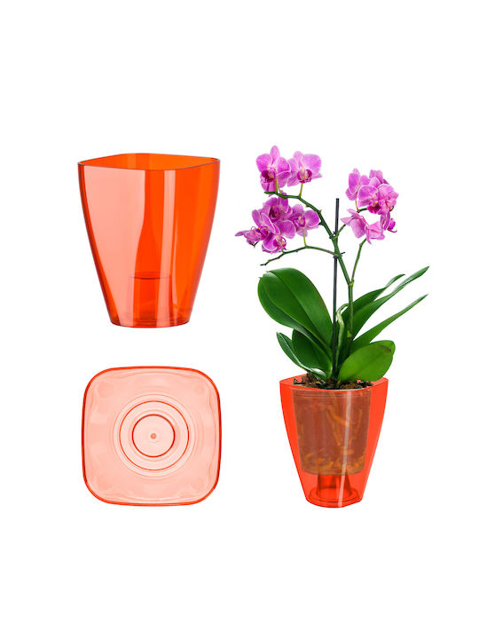 Kadax Orchideen-Übertopf Kunststoff Pflanze 9cm...