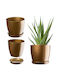 Kadax Flower Pot Cover Base Gold 18cm