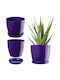 Kadax Pot Saucer Plastic Cover Pot 28cm Purple Flowers