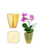Kadax Orchid Pot Cover Plastic Flower Pot 9cm Honey