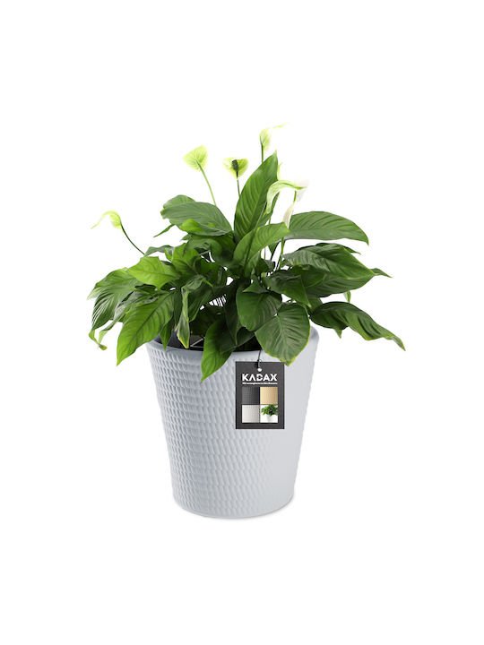 Kadax Flower Pot Gray 30 Cm