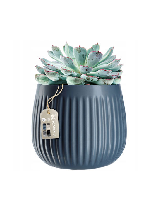 Kadax Ceramic Pot 14cm Blue Cover