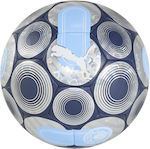 Puma Soccer Ball Blue