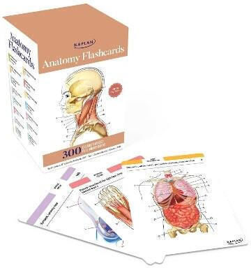 Anatomie-Lernkarten 300 Lernkarten Anatomisch Präzise Zeichnungen Ausführliche Beschreibungen Joanne Tillotson Kaplan Publishing