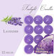 Lumânări mici cu Aromă de Lavanda în Culoare Violet 12buc