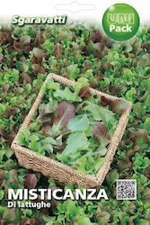 Mixed Salad Lettuce Seeds