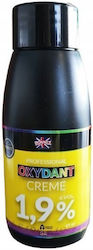 Oxidationscreme Oxidationsemulsion in Creme Aufhellende Haarfärbung 1,9% 60ml