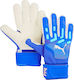 PUMA Future Match NC Adults Goalkeeper Gloves Blue