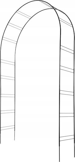 Arch Black