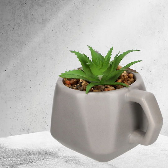 Succulent Plant in Pot Gray Kadax