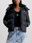 Women's Jackets