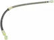 Brake Hose Mitsubishi Galant Vi Ea_ 2.0 Ea2a 2000-2004 Corteco 19032929