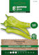 Gemma Green Horn Pepper Seeds 12756