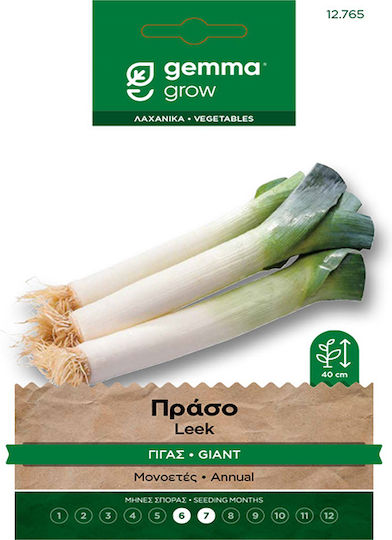 Gemma Giant Leek 12765