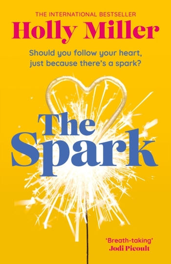 Spark Hodder & Stoughton Paperback Softback