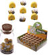 Puckator Mini Γόμα Μέλισσα Cute Honey Bee 8 Κάθε Βαζάκι