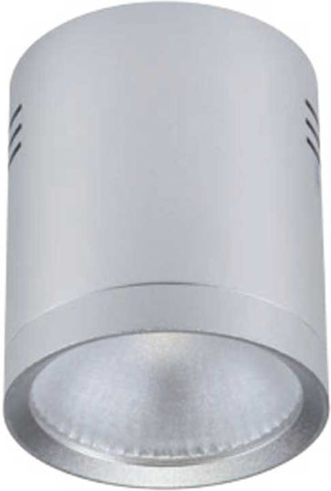 Elmark Einzel LED Warmes Weiß Spot in Silber Farbe Elmark Einzel LED Warmes Weiß Spot in Silber Farbe