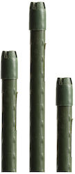 Hydrostab Steel Plant Stake Pvc Coated Height 900 Mm