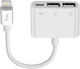 Avizar Конвертор Lightning Мъжки в Lightning / USB-A Женски Бял 1 Брой HL110